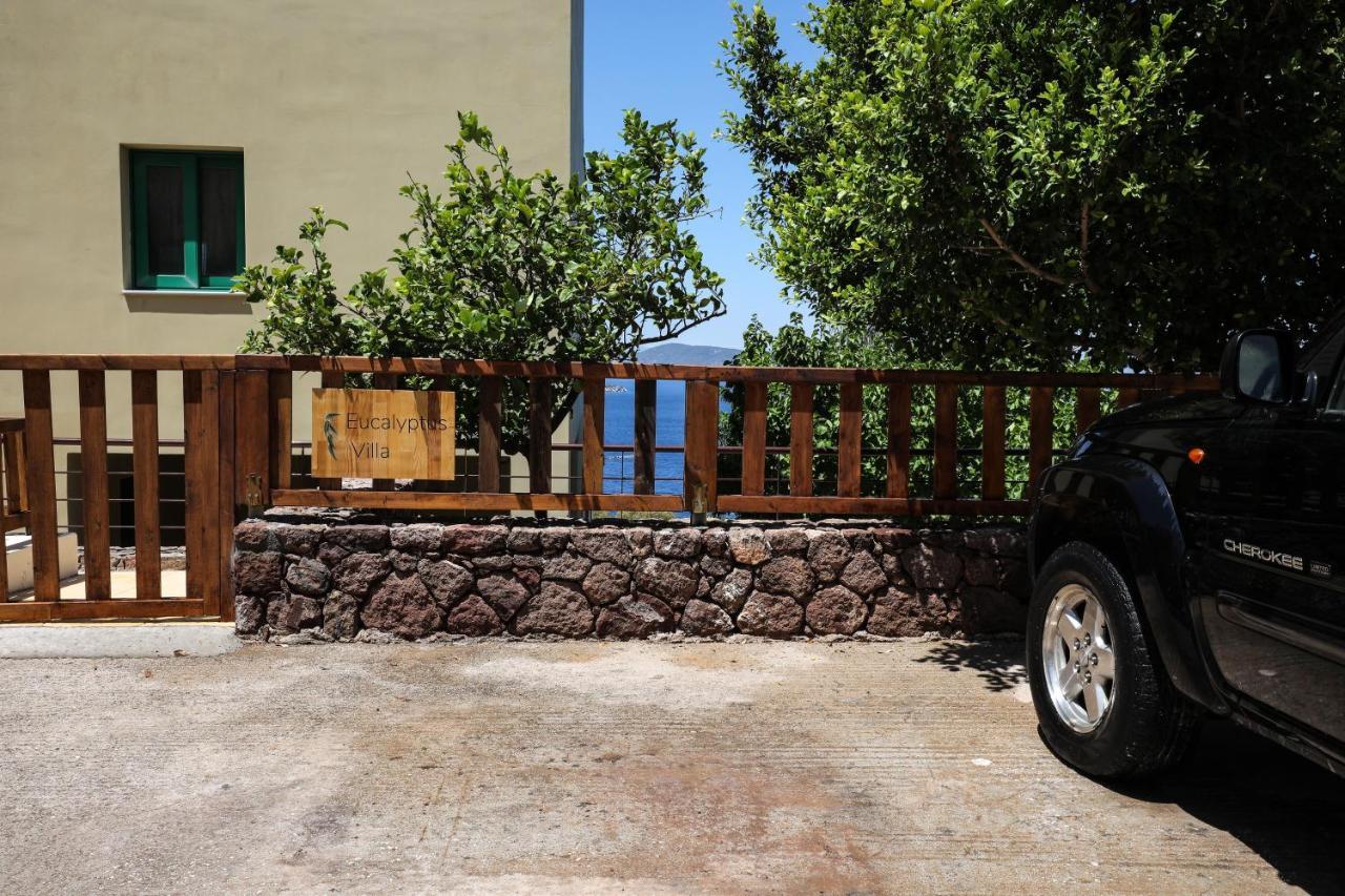 Eucalyptus Villa Aegina Екстериор снимка