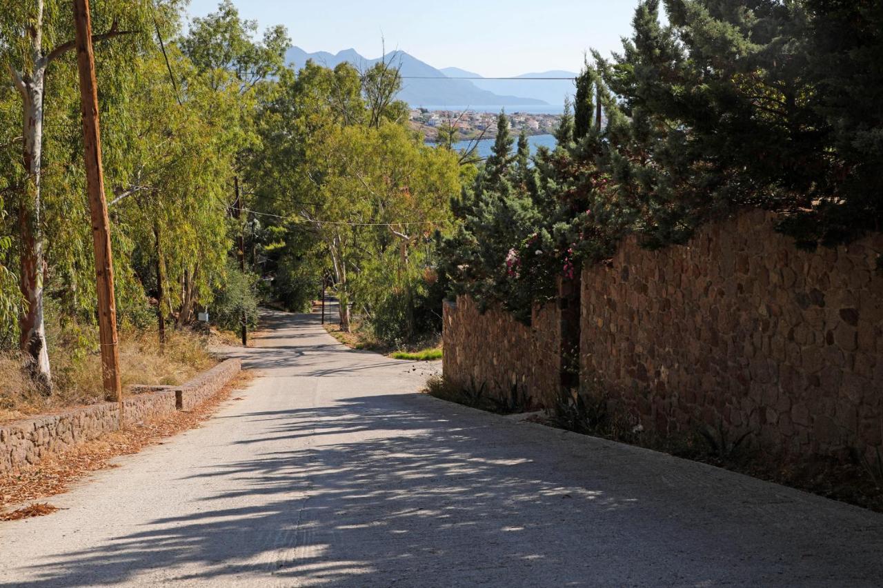 Eucalyptus Villa Aegina Екстериор снимка